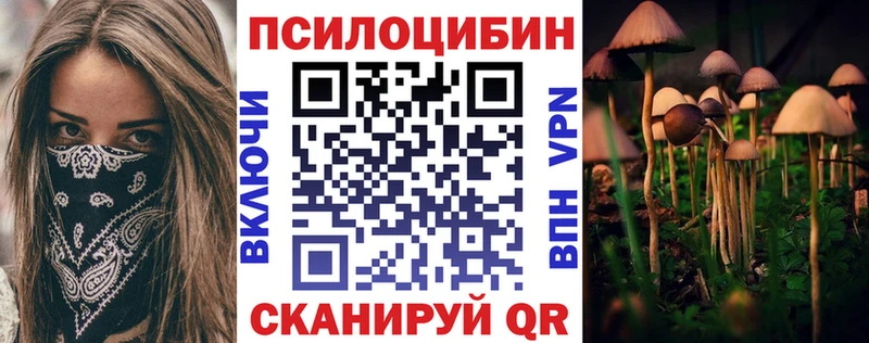 Псилоцибиновые грибы мицелий  Купить закладки  Сухой Лог 